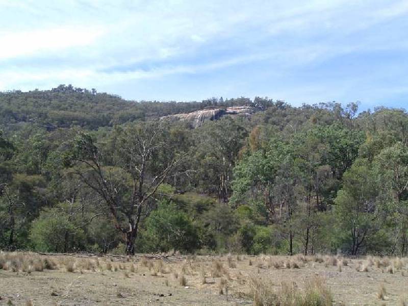 Tenterfield NSW 2372