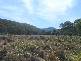 Tenterfield NSW 2372