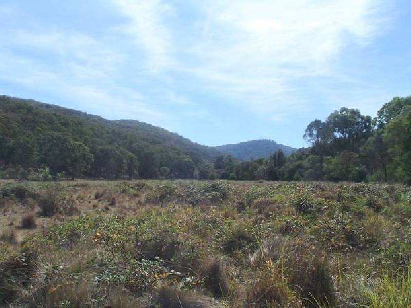 Tenterfield NSW 2372