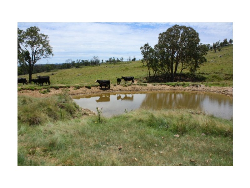 Tenterfield NSW 2372