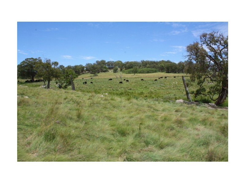 Tenterfield NSW 2372