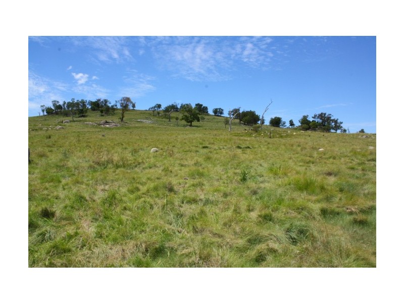 Tenterfield NSW 2372