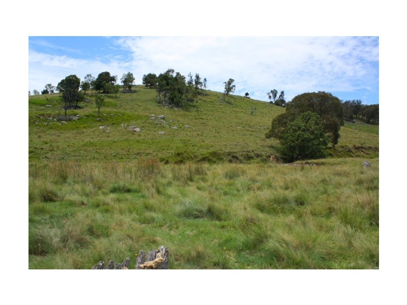 Tenterfield NSW 2372