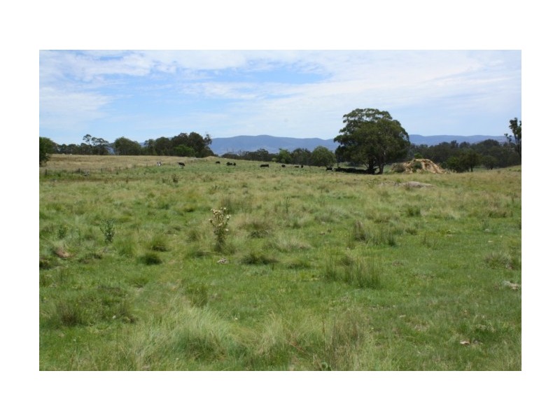 Tenterfield NSW 2372