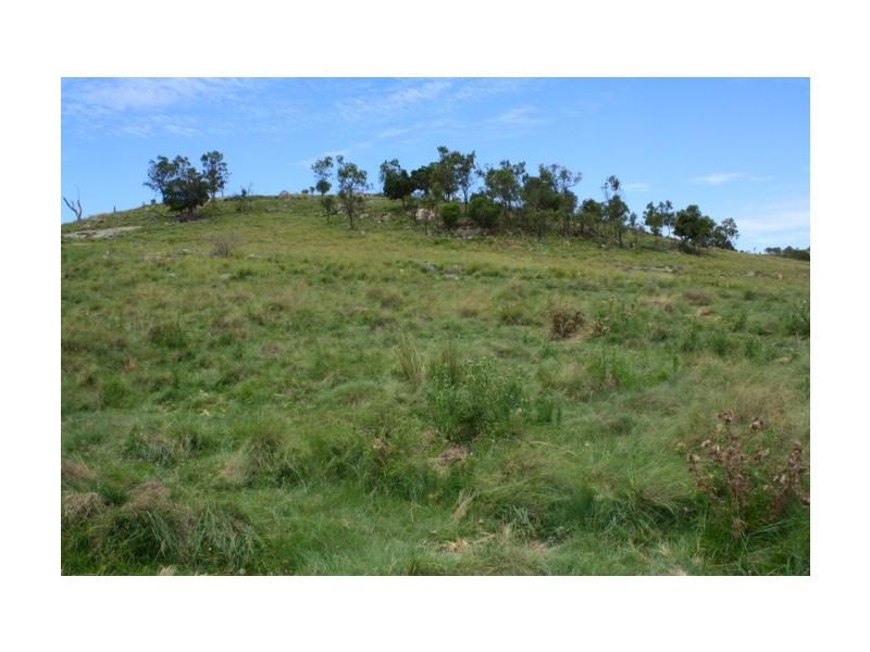 Tenterfield NSW 2372