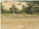 Tenterfield NSW 2372