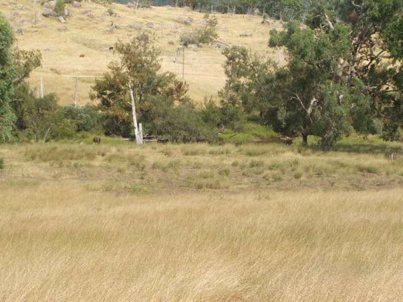 Tenterfield NSW 2372