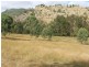 Tenterfield NSW 2372