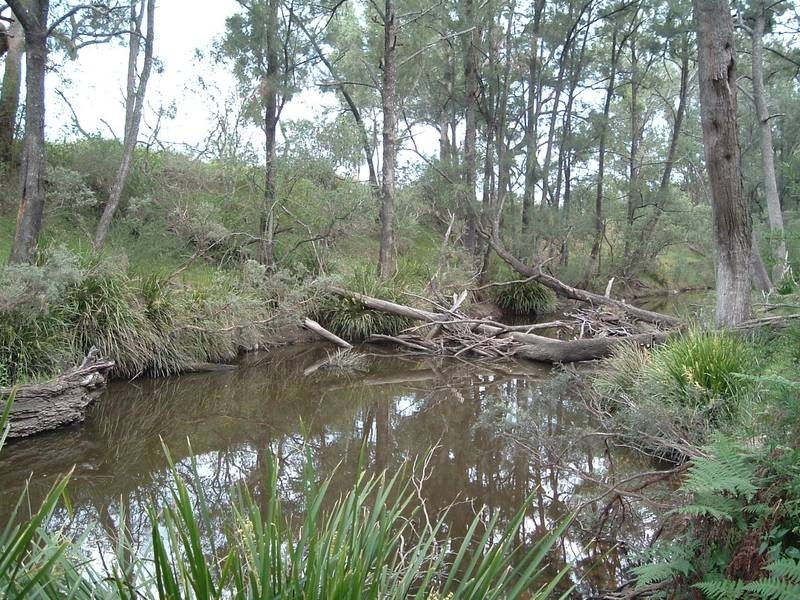 Tenterfield NSW 2372