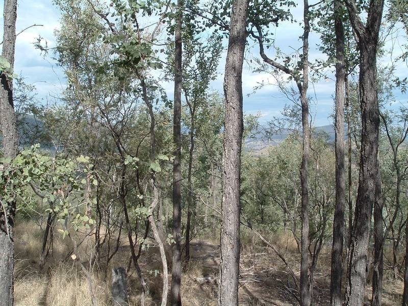 Tenterfield NSW 2372