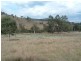 Tenterfield NSW 2372