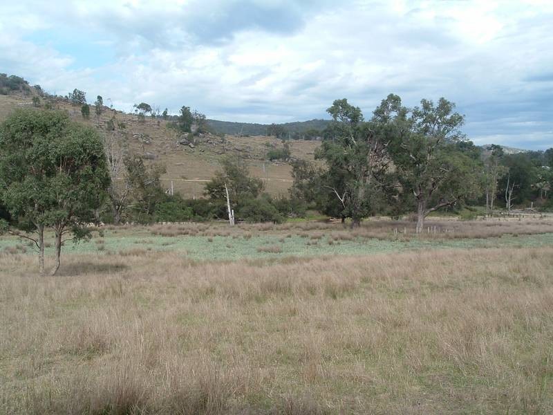 Tenterfield NSW 2372
