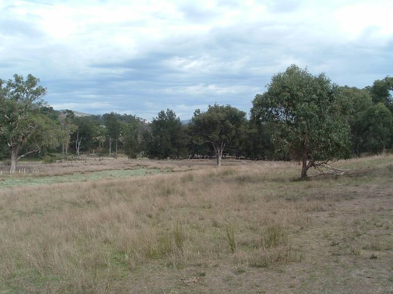 Tenterfield NSW 2372