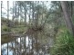 Tenterfield NSW 2372