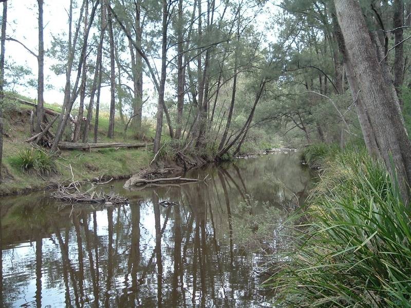Tenterfield NSW 2372