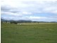 Tenterfield NSW 2372