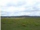 Tenterfield NSW 2372