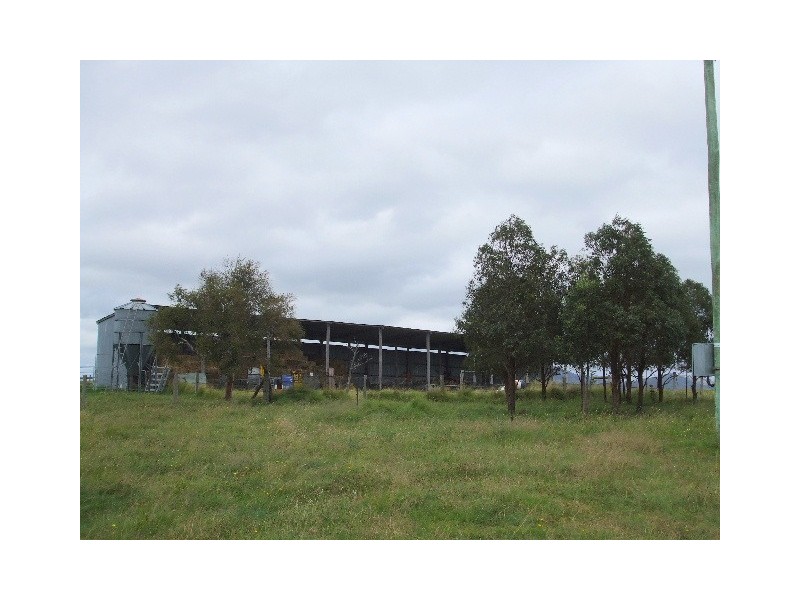 Tenterfield NSW 2372