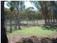 Emmaville NSW 2371