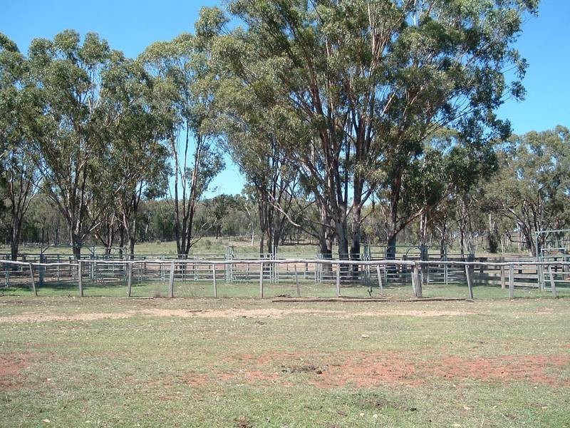 Emmaville NSW 2371