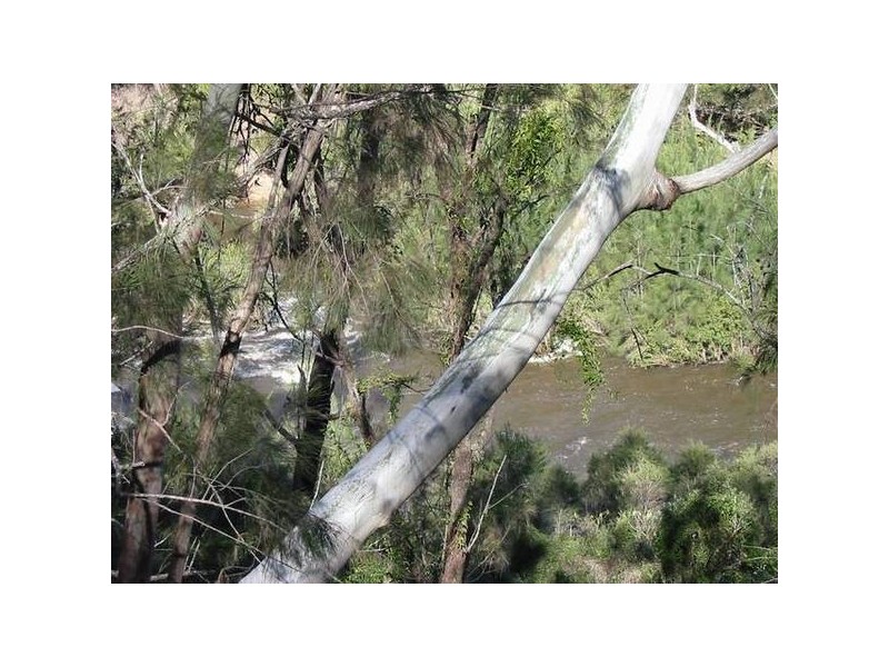 Drake NSW 2469