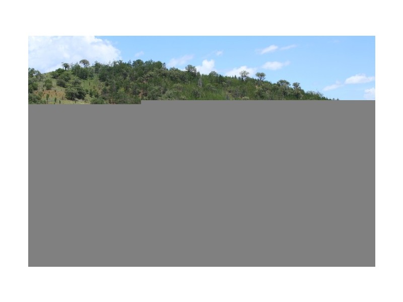 Tenterfield NSW 2372