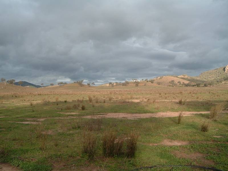 Tenterfield NSW 2372