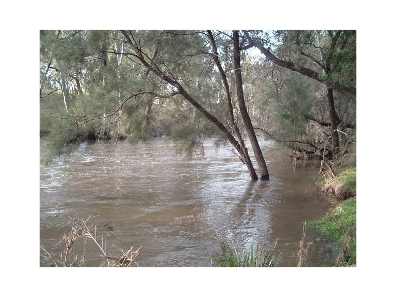 Tenterfield NSW 2372