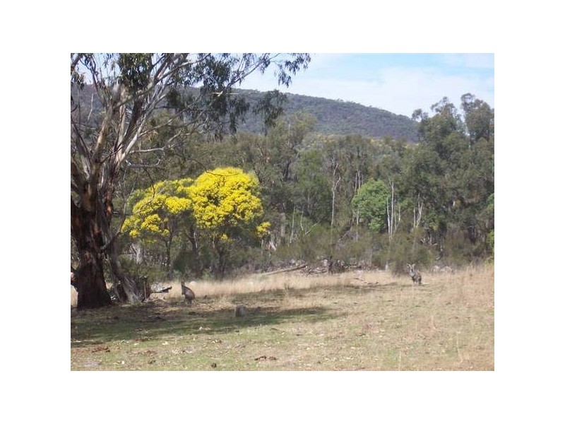 Tenterfield NSW 2372