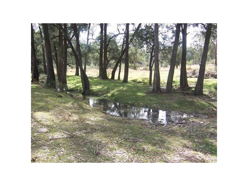 Tenterfield NSW 2372