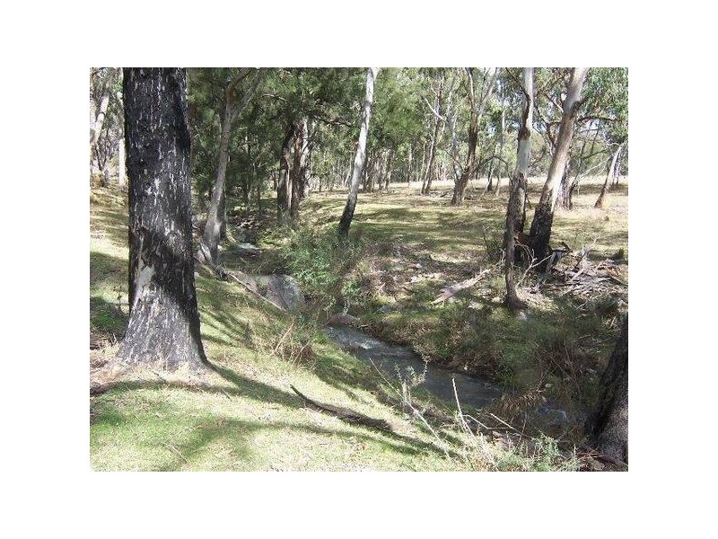 Tenterfield NSW 2372