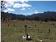 Tenterfield NSW 2372