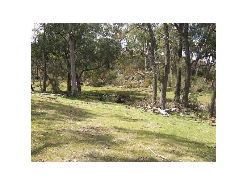 Tenterfield NSW 2372