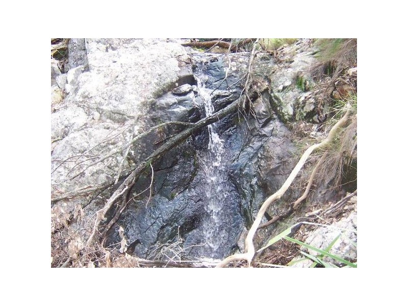 Tenterfield NSW 2372