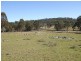 Tenterfield NSW 2372