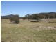 Tenterfield NSW 2372
