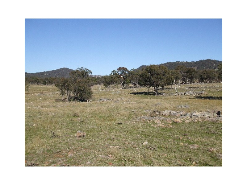 Tenterfield NSW 2372