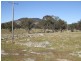 Tenterfield NSW 2372