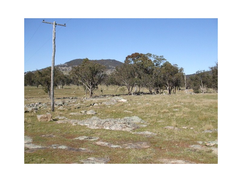 Tenterfield NSW 2372
