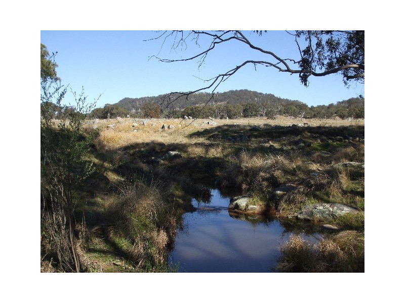 Tenterfield NSW 2372