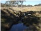 Tenterfield NSW 2372
