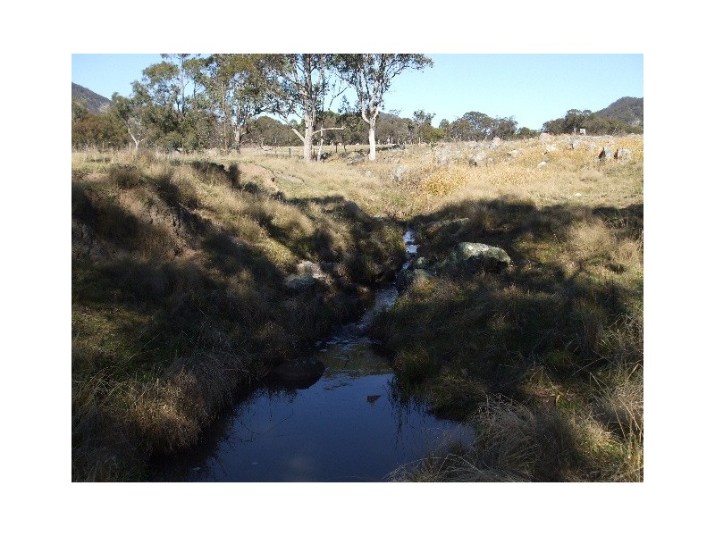 Tenterfield NSW 2372