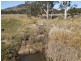 Tenterfield NSW 2372