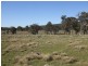 Tenterfield NSW 2372