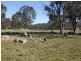 Tenterfield NSW 2372