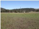 Tenterfield NSW 2372