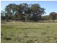 Tenterfield NSW 2372