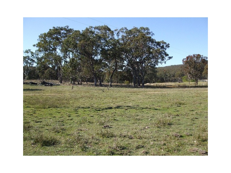 Tenterfield NSW 2372