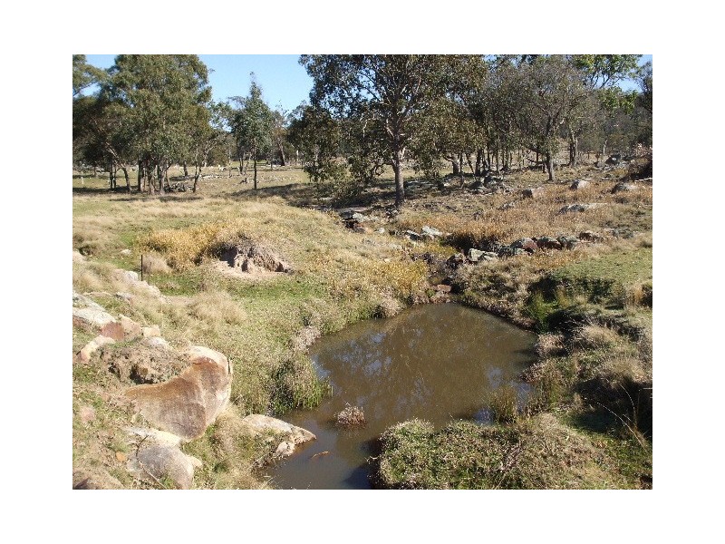 Tenterfield NSW 2372