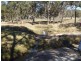 Tenterfield NSW 2372